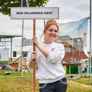 islandske heste på dyrskuer